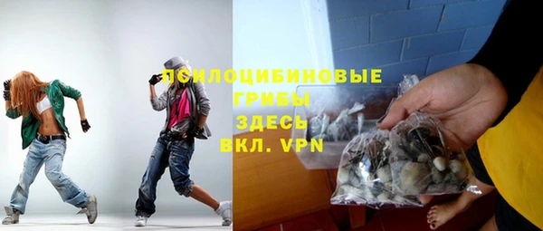 крисы Алексин