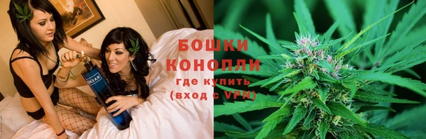 крисы Алексин