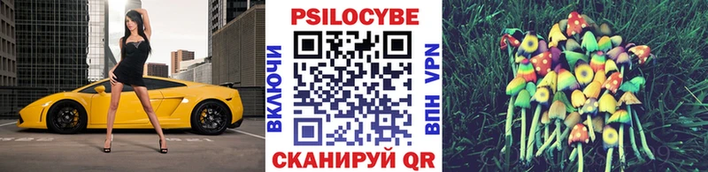 Галлюциногенные грибы Psilocybe  Углич 
